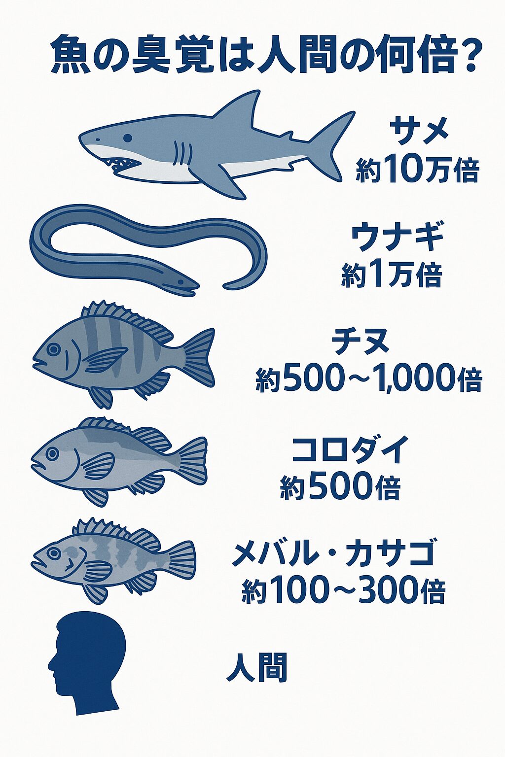 【驚異の嗅覚】魚のにおいを感じる力は人間の何倍？魚種別に徹底比較！釣太郎