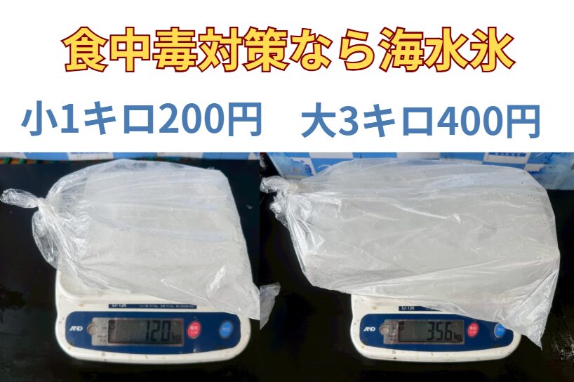 食中毒から魚を守るならコレ！釣り人の必需品「海水氷」｜釣太郎名物・リピート率No.1