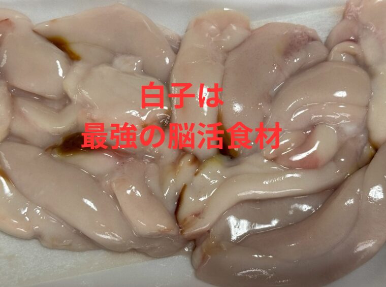 【受験生・テスト前必見!】「魚を食べると頭が良くなる」は本当?白子も最強の脳活食材だった!釣太郎