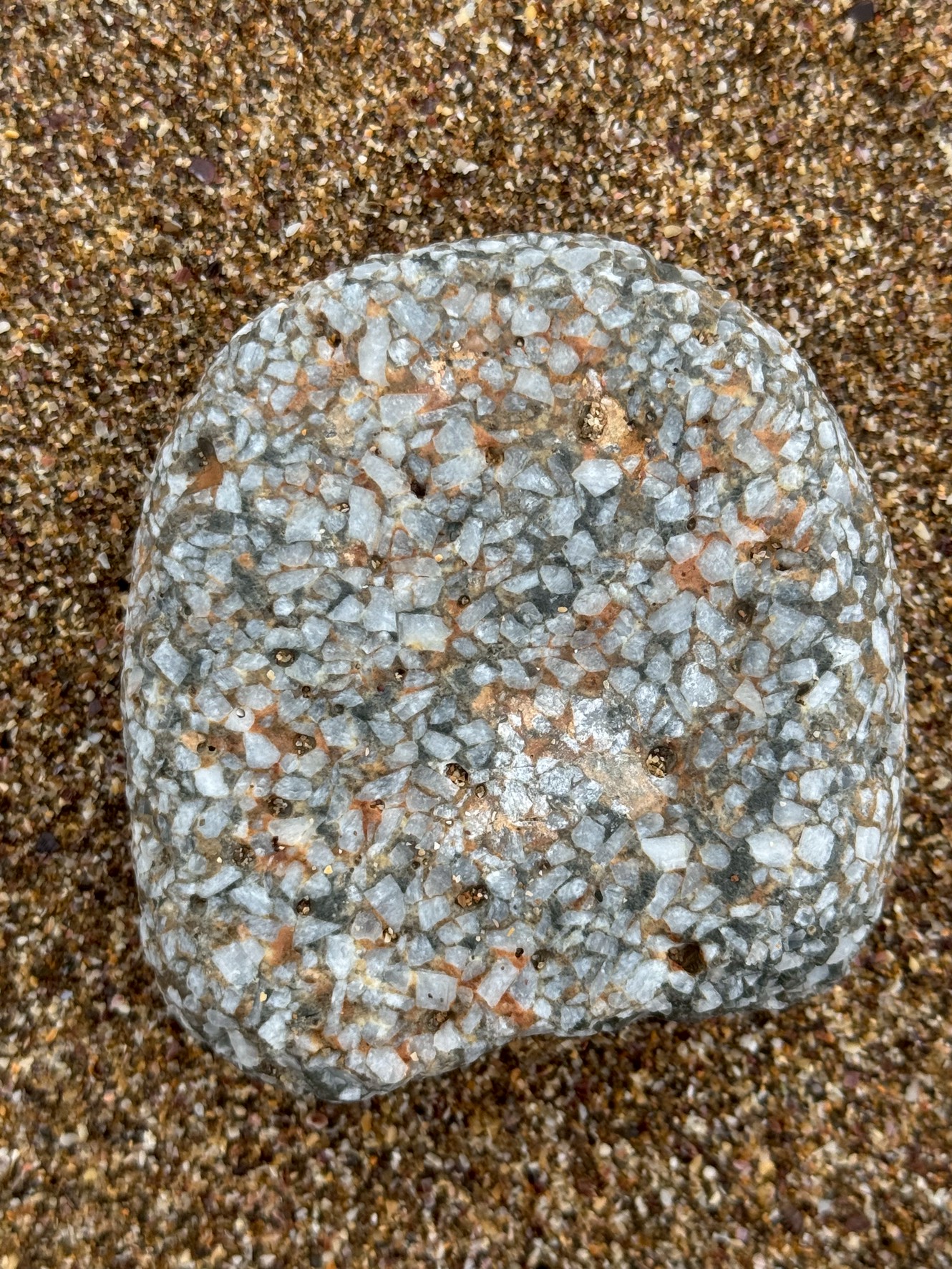 ビーチで見つけた、この変わったの説明。釣太郎