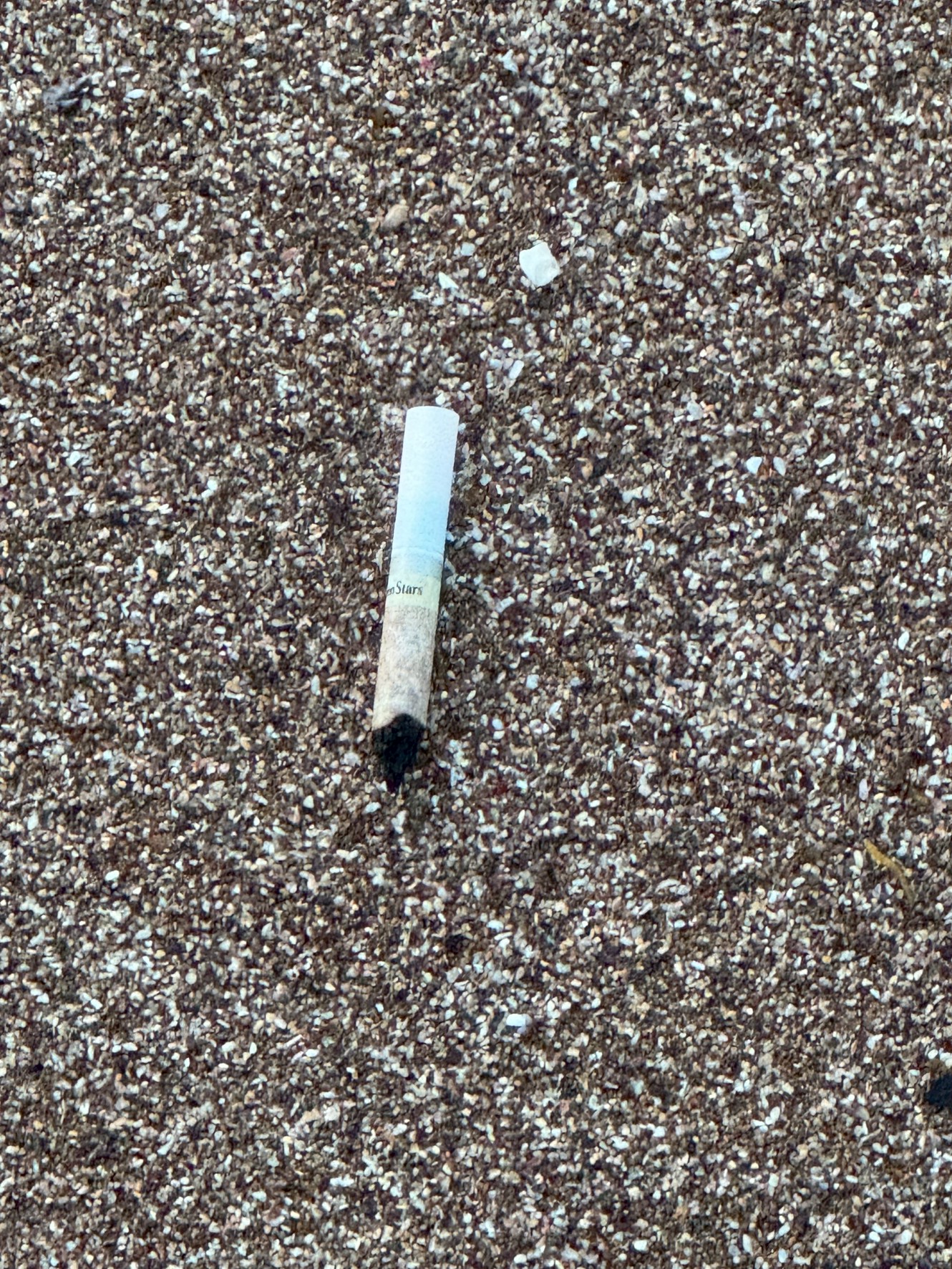 海のSOS！たばこの吸い殻が引き起こす深刻な海洋汚染と私たちの責任。釣太郎