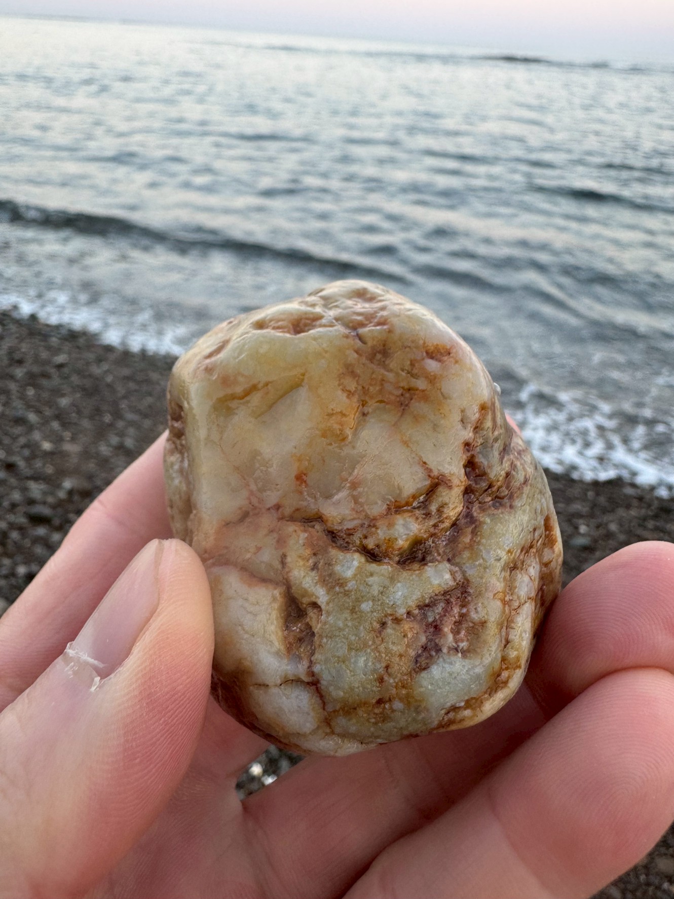 【ビーチコーミングの魅力】南紀の砂浜で見つけた一風変わった石の正体とは？釣太郎