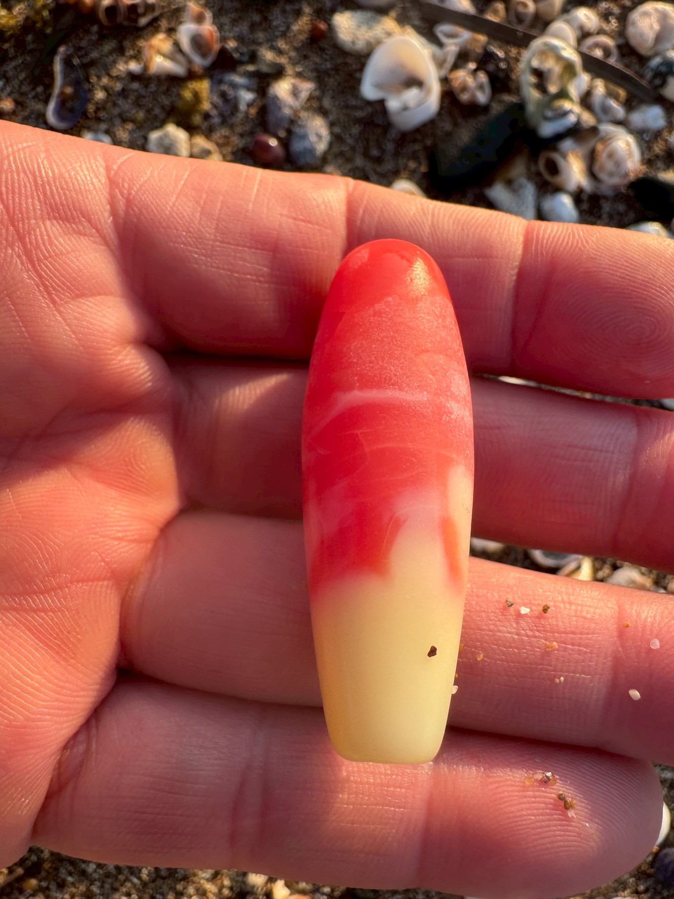 【これは貝?オモリ?正体は?】海岸で拾った不思議な赤白の円筒物体を徹底解説。釣太郎