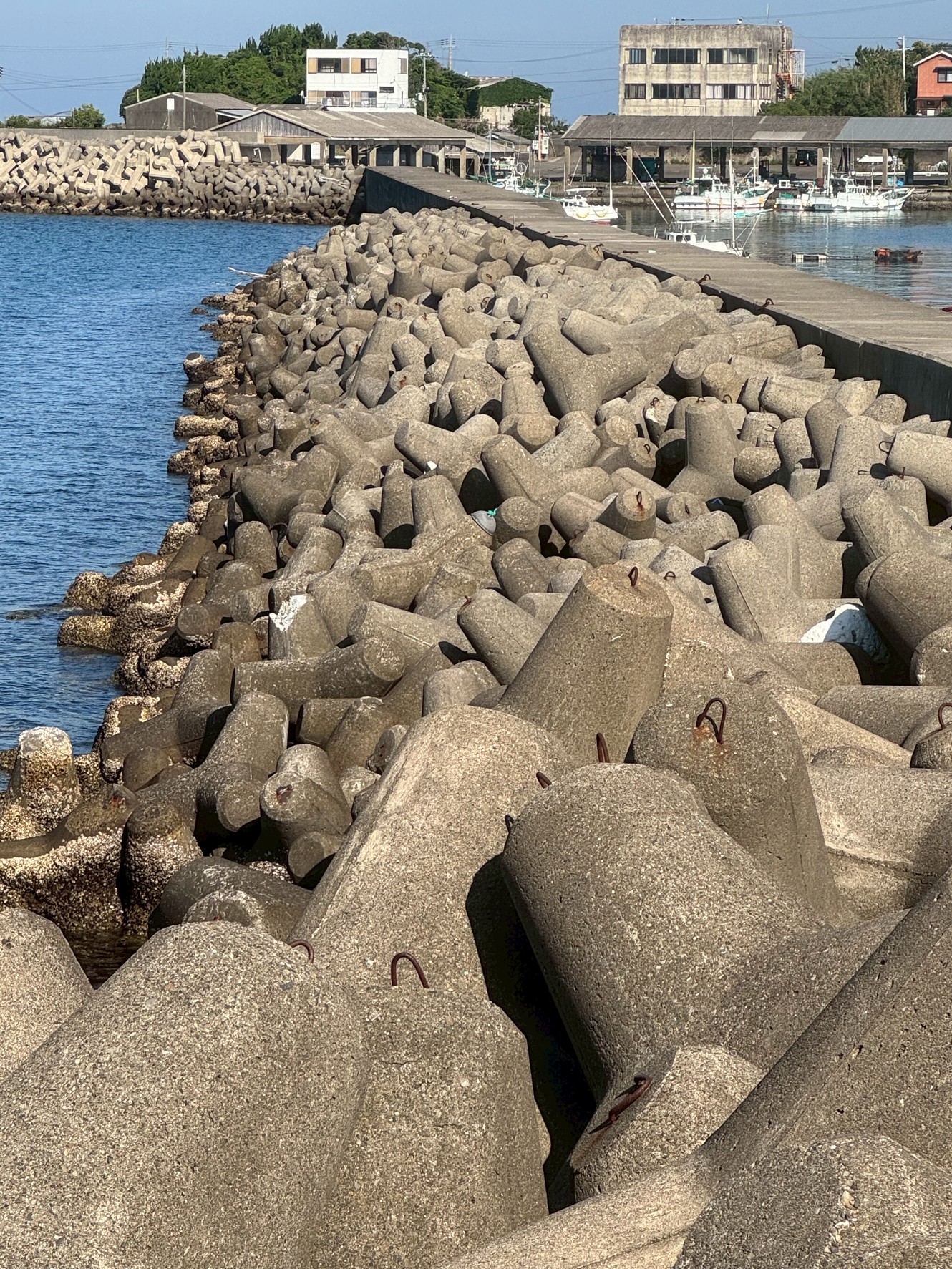 消波ブロックと釣り人事故の関係｜人が乗れない構造への移行は本当か？釣太郎