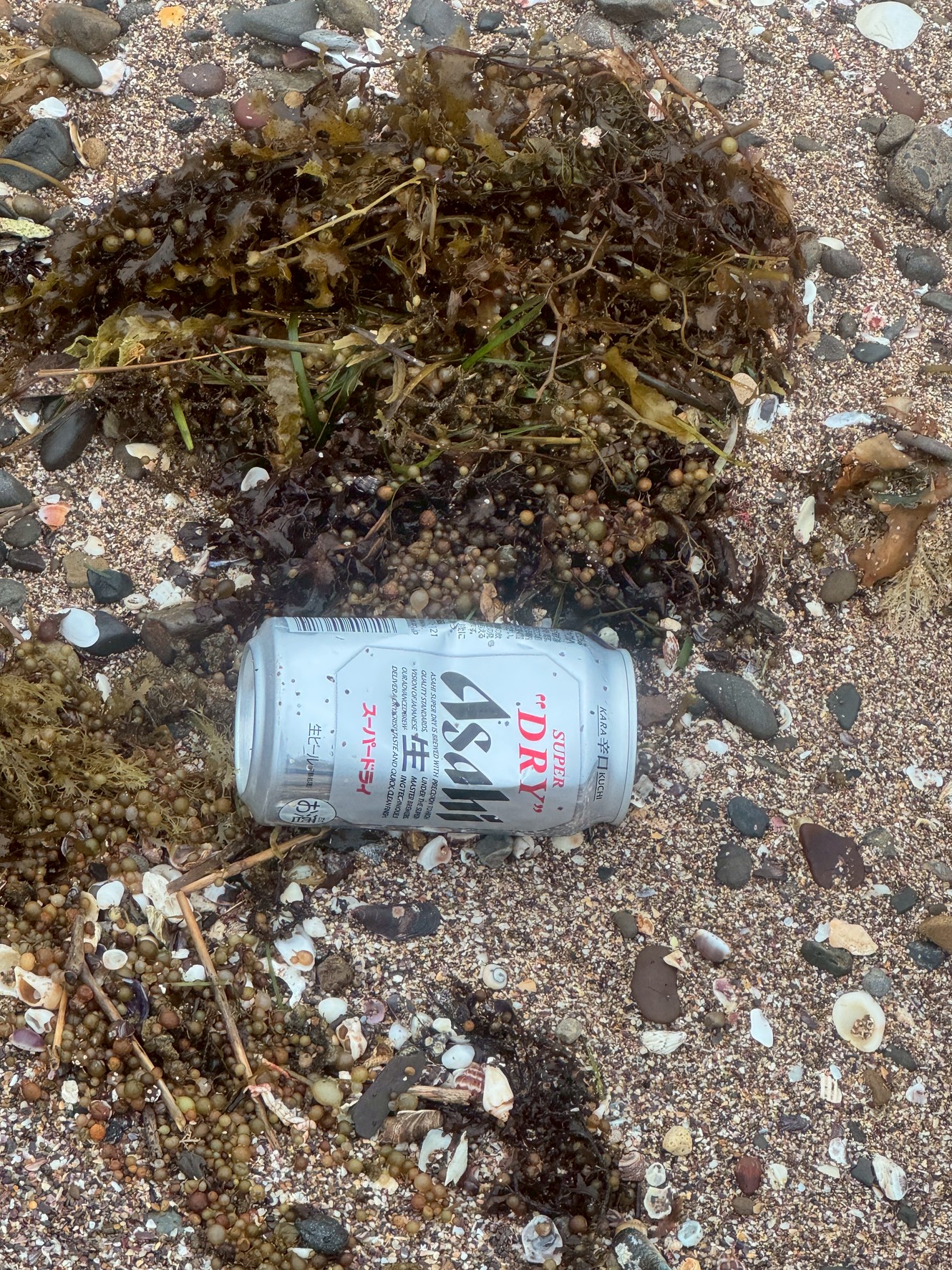 その空き缶が海を壊す！？海岸のゴミ問題と海の生態系への深刻な悪影響説明。釣太郎