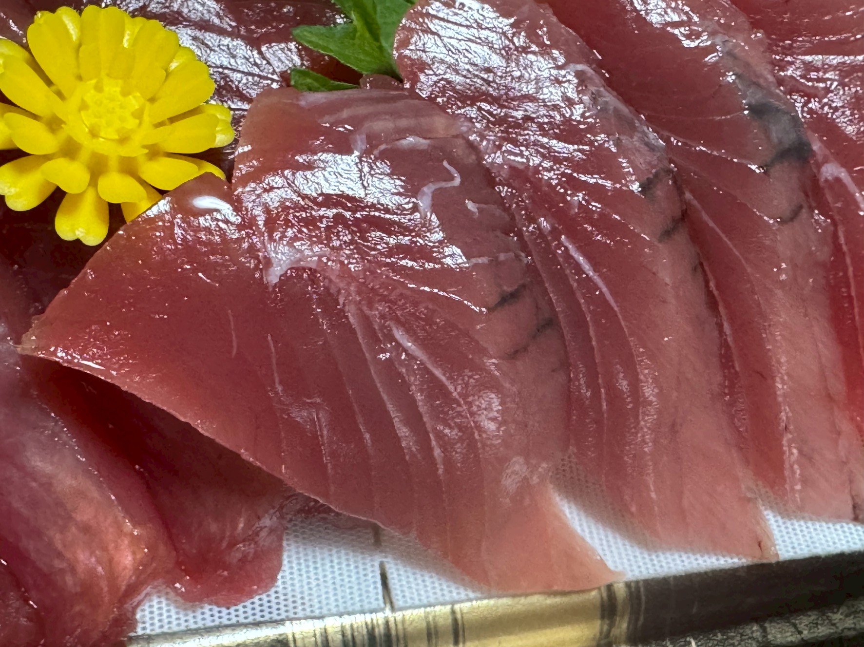 美味しいカツオ見分け方紹介。釣太郎