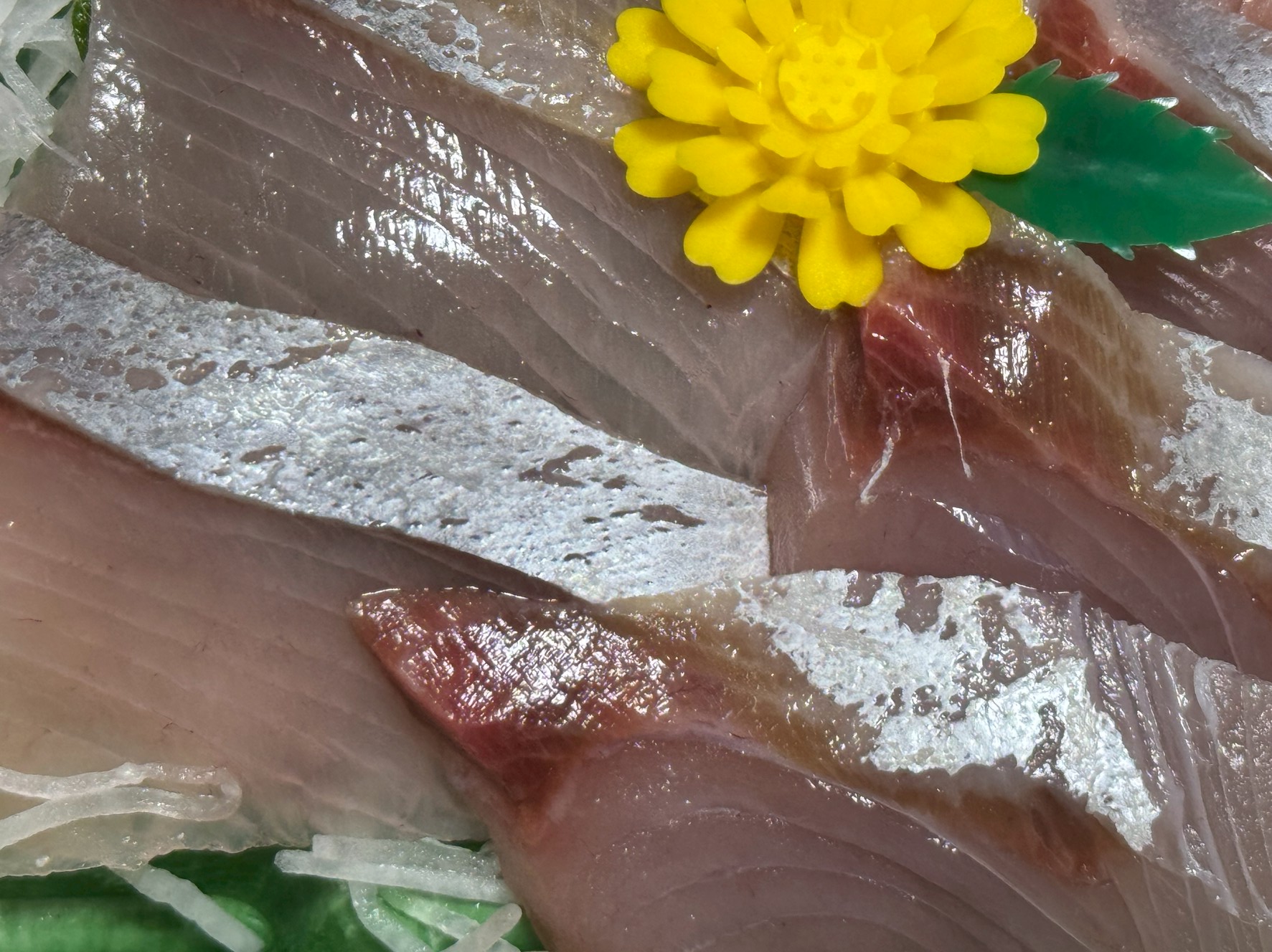 ブリとヒラマサ、どっちが美味い？釣り人も迷う青物の頂上対決｜あなたの好みはどっち？釣太郎