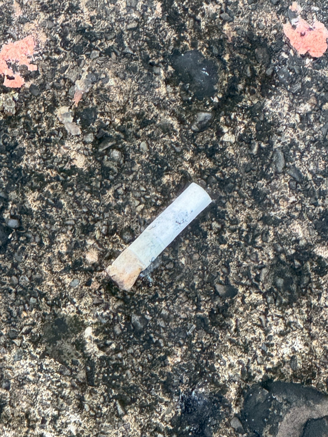 タバコの吸い殻は「世界で最も多い海洋ごみ」のひとつ。釣太郎