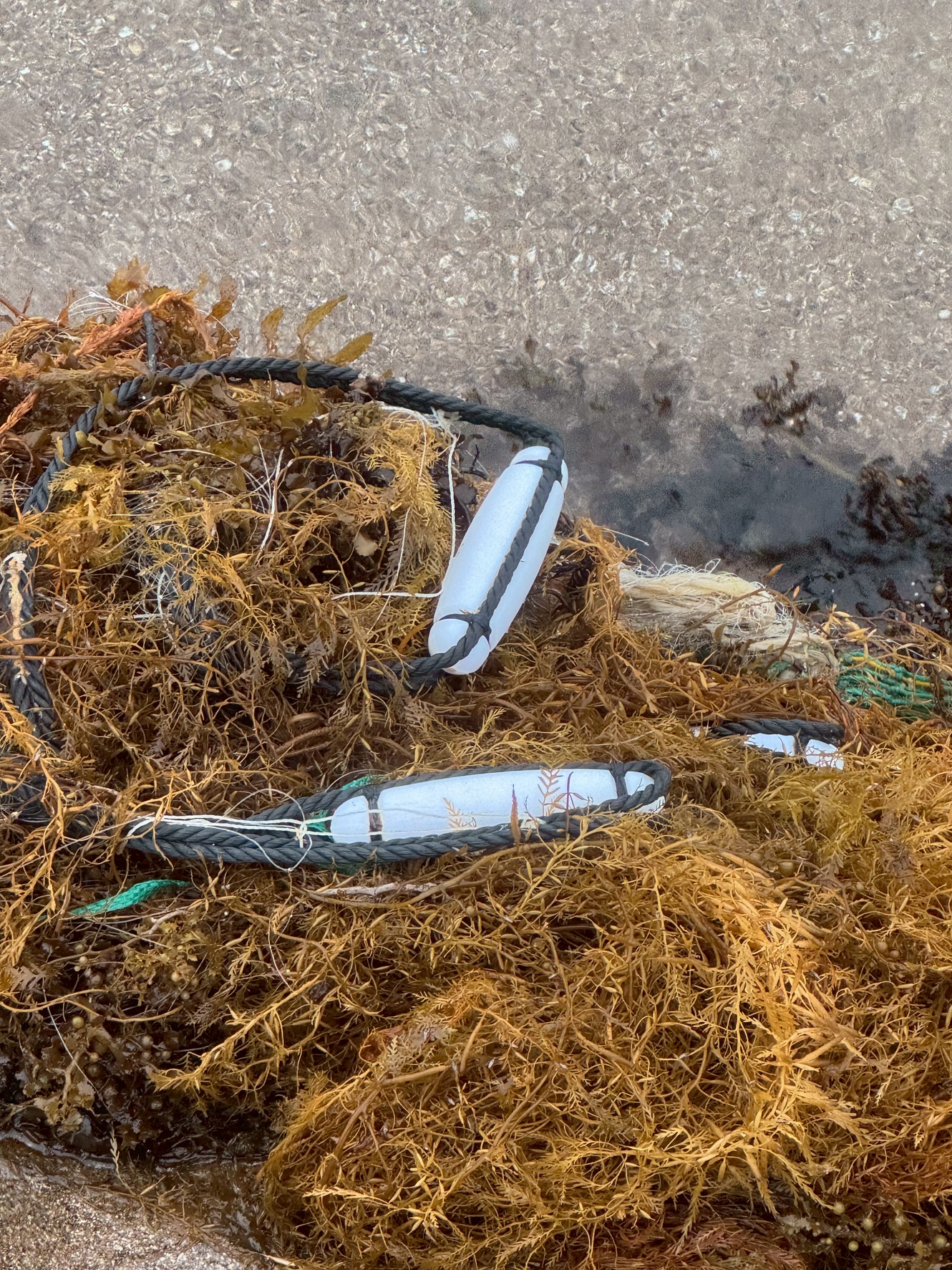 海洋ごみの主犯は釣り人ではない！？実は漁具が最多だった【海の環境問題】釣太郎