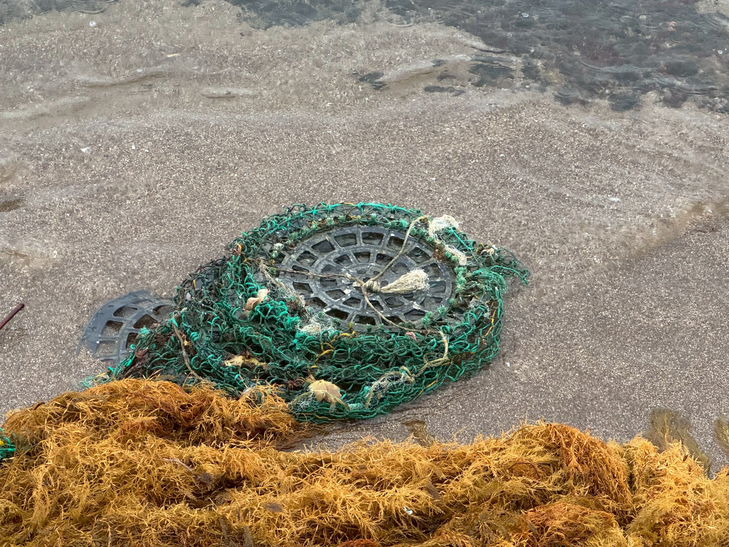 海洋ゴミの真犯人は誰?釣り人のゴミより圧倒的に多い「漁具由来のゴミ」の現状と解決策。釣太郎