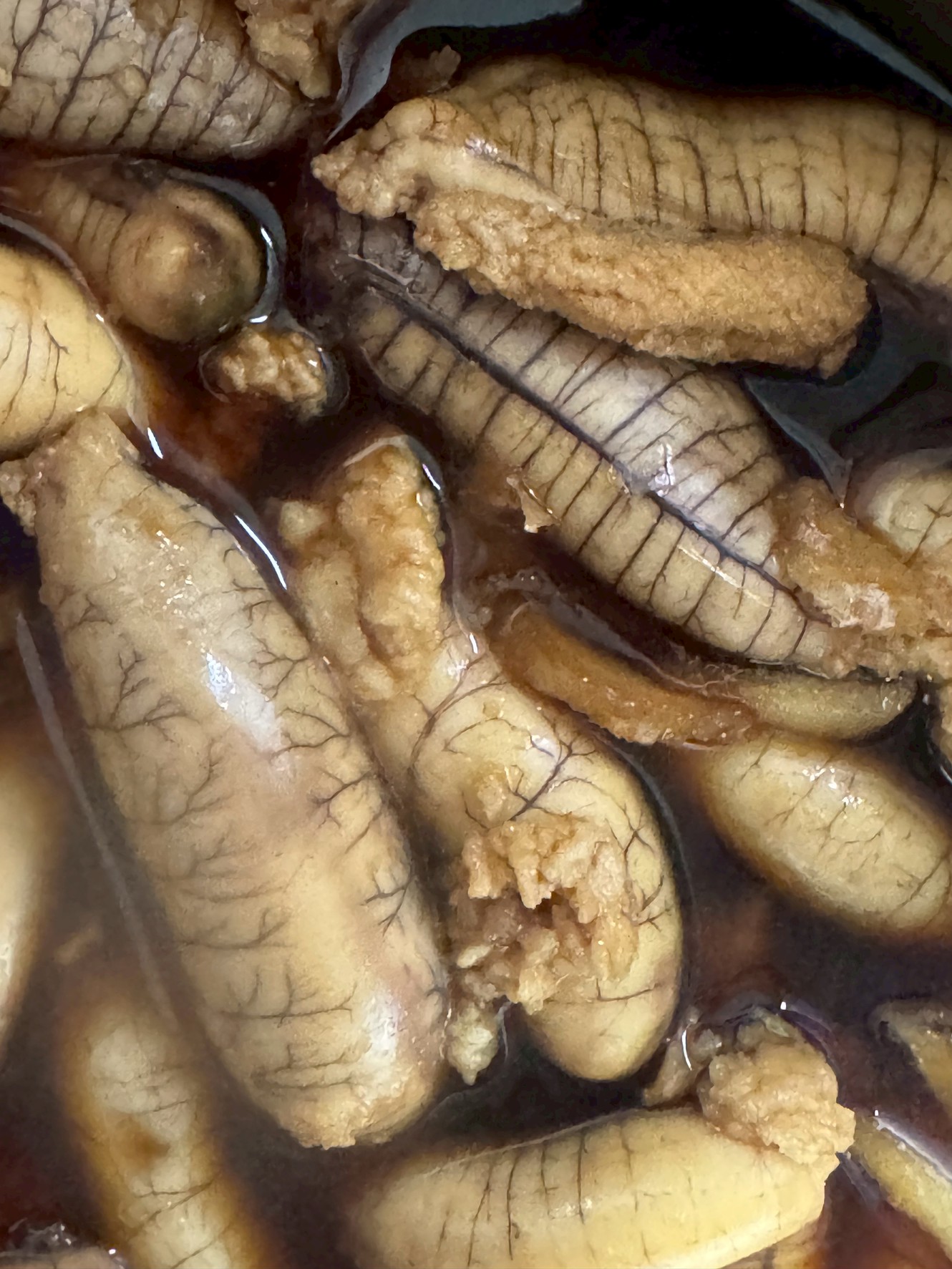 【白子は人気なのに、なぜ真子は不人気？】魚卵の魅力と味わいを再発見しよう！釣太郎