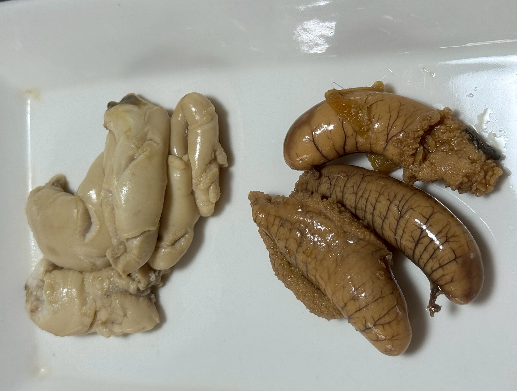 【初夏限定の絶品】イサギの白子と真子とは？旬の味覚を釣り人目線で徹底解説！釣太郎