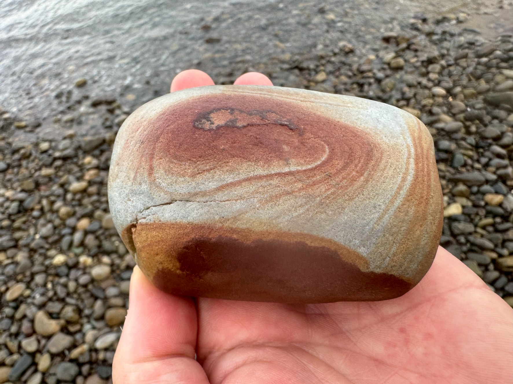 【AI推察】この小石の正体は「砂岩（さがん）」の可能性が高い！釣太郎