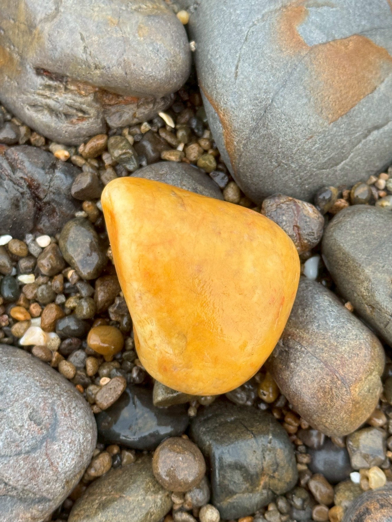 【海岸の黄色い小石の正体とは?】正体・特徴・見つけ方を徹底解説!|波打ち際の不思議を科学する。釣太郎