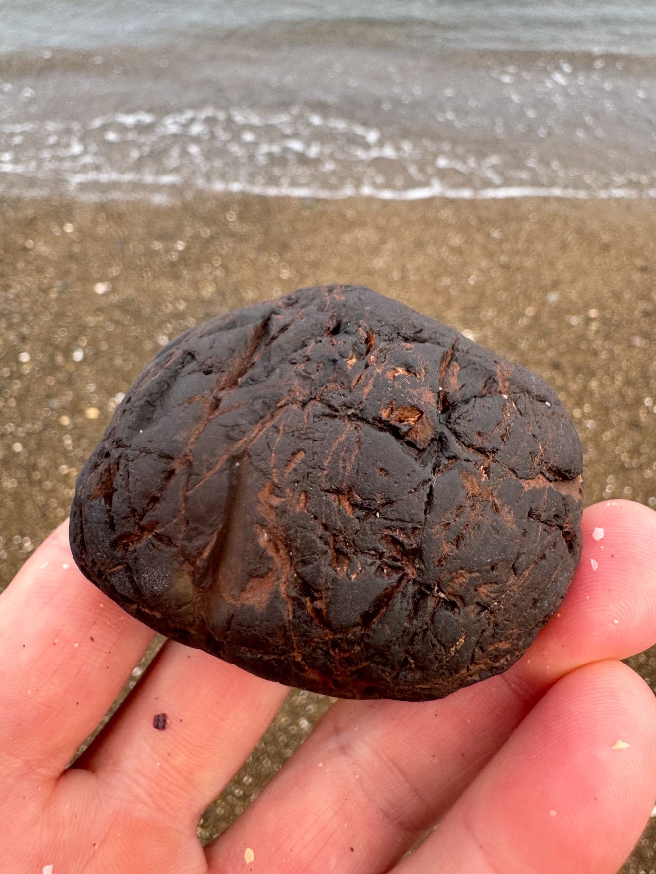 この写真の黒っぽく、表面が焼けたように見える小石は、以下の可能性が考えられます。釣太郎