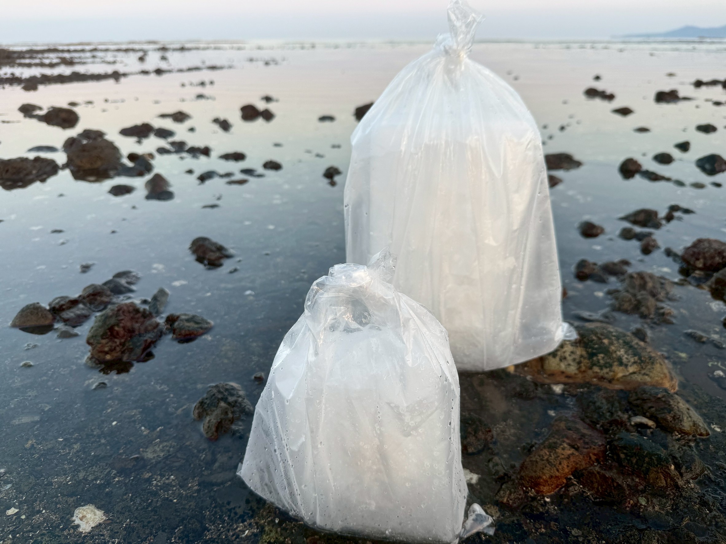 【夏釣り必須】海水氷の実力とは?真水とは違う“本物の冷却力”をAIが徹底解説!釣太郎