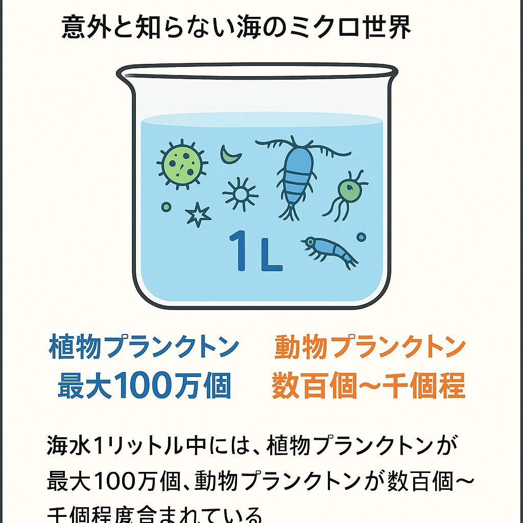 海水1リットル中には、植物プランクトンが最大100万個、動物プランクトンが数百個～千個程度含まれています。釣太郎