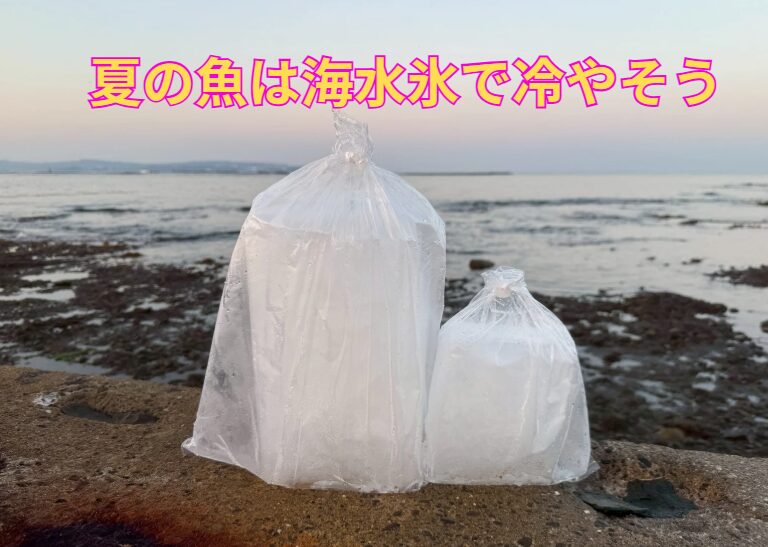 釣り上級者が選ぶ理由とは?黒潮の海水で作る「釣太郎の海水氷」が真水氷より圧倒的に優れている理由。