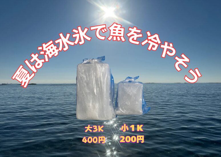 夏の釣りは“魚は冷却で差がつく”時代に突入！釣果を守るための新常識とは？「釣った魚の価値」は、クーラーボックスの中で決まる。釣太郎