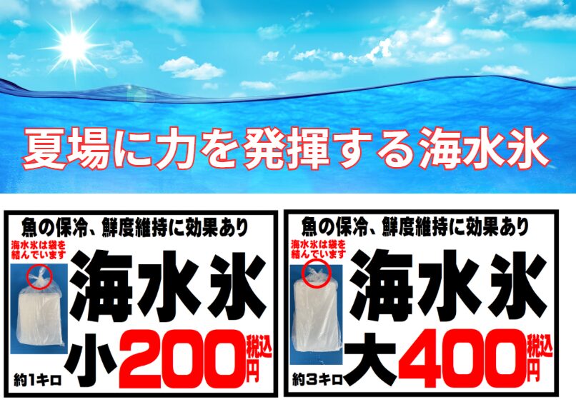 魚冷却、海水氷が真水氷より“3倍有効”って本当？ 単なる誇張か、それとも科学か？AIが冷静に解説【保存・味・安全性で検証】釣太郎