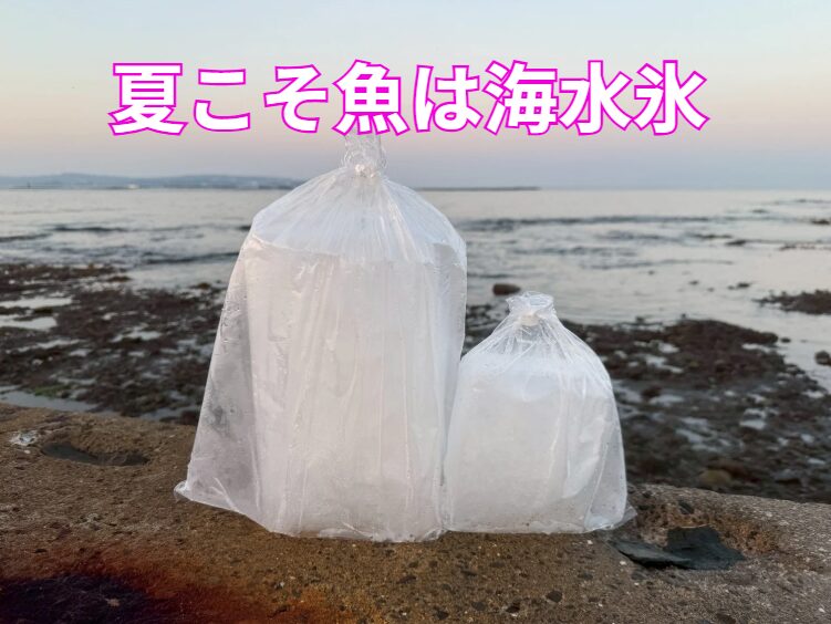 【夏の釣り・鮮魚保存に最適】真水氷より海水氷!その理由と効果を徹底解説。釣太郎