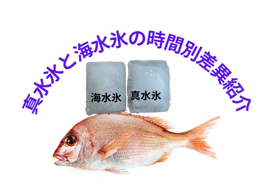 夏場の真鯛、海水氷 vs 真水氷：時間経過でどう変わる？ 釣果を最高品質で持ち帰る秘訣。釣太郎