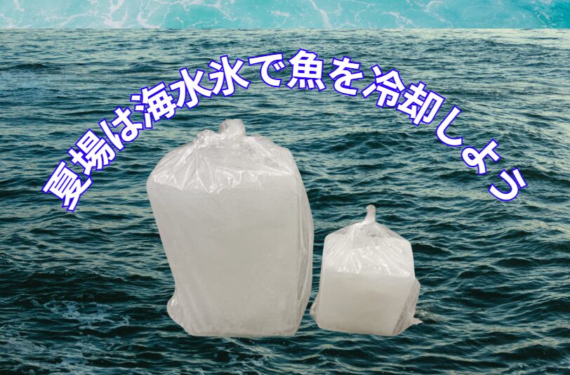わざわざ遠方から買いに来る人も！夏の魚冷却は「海水氷」が最強の理由【釣太郎の看板人気商品】