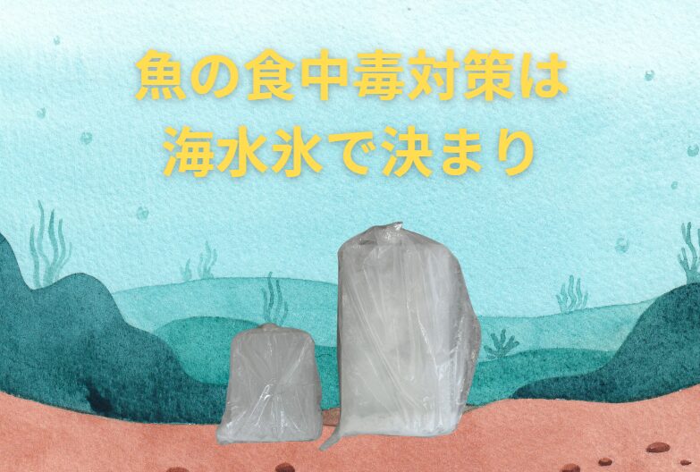釣った魚をより美味しく食べるのなら、冷却を海の水を凍らせた海水氷にしましょう。利用客は「全く違う」という人も少なくありません。釣太郎