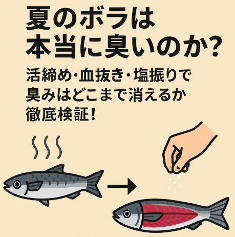 【AI徹底解説】夏のボラはなぜ臭い？冬は無臭？においを抑える方法と理由を科学的に分析！釣太郎