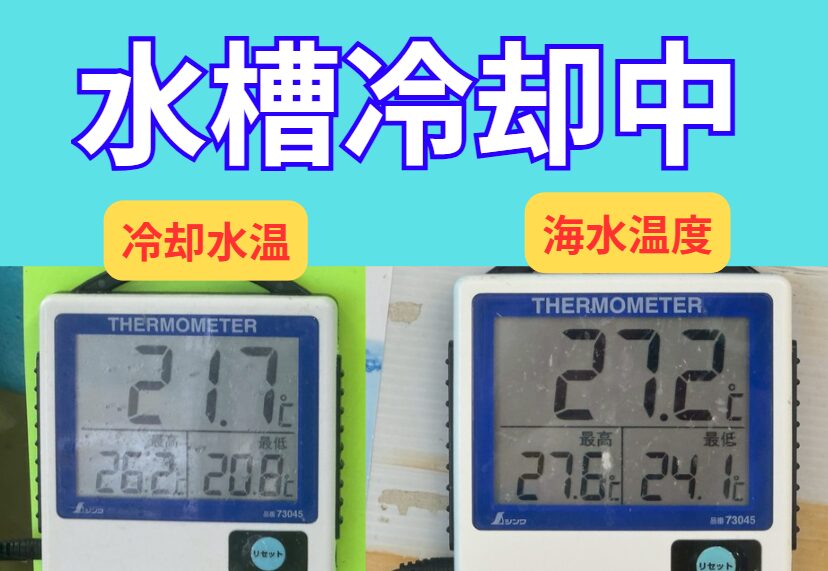 活アジ水槽冷却しています。温度差にご注意ください。釣太郎