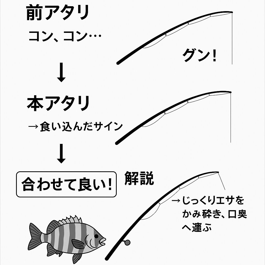 【石鯛釣りの鉄則】なぜ「早合わせは禁物」なのか？〜AIが語る、待ちの釣技の科学～. 釣太郎