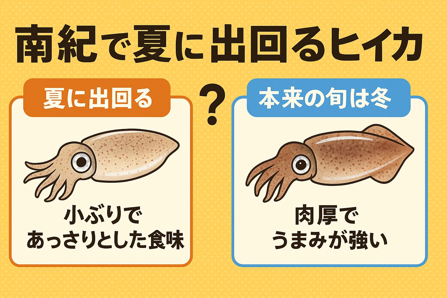南紀では“夏ヒイカ”も絶品!冬とはまた違う魅力を楽しもう。釣太郎