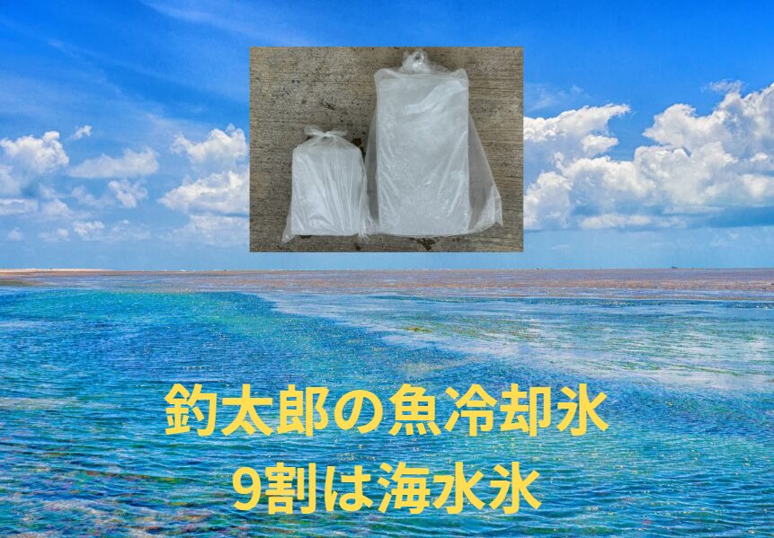 【AI分析】真水氷→海水氷に変えるだけで菌の増殖リスクが82％減！？夏の魚保存革命。釣太郎