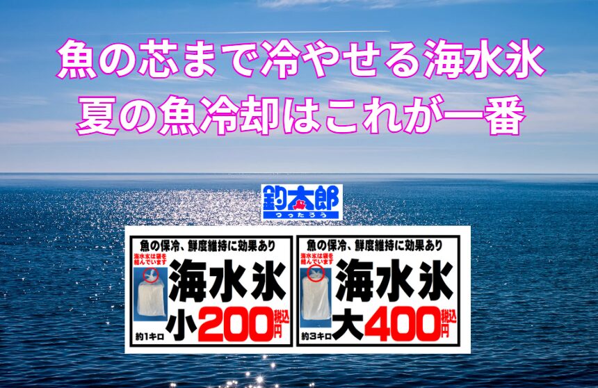 【魚は氷で冷やせば一緒？】いいえ、それは大きな誤解！釣り中級者以上が「海水氷」を選ぶ本当の理由とは？釣太郎