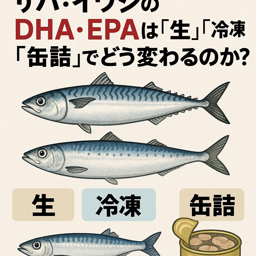 サバやイワシに豊富なDHA・EPAは、「脳と血管に良い」「体に必要不可欠」な栄養素。釣太郎
