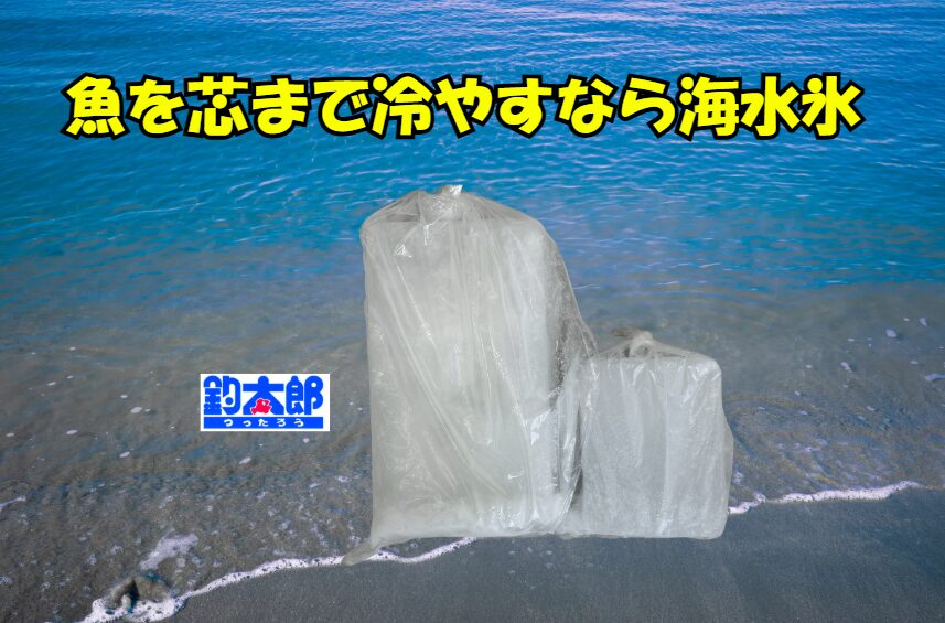 夏場に海水氷が爆発的に売れる理由。釣太郎