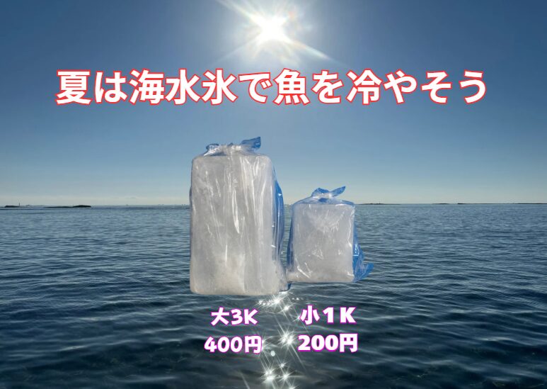 暑い夏こそ、魚の鮮度管理は命を守るレベルの重要性を持ちます。 そして、その鍵を握るのが「海水氷」です。釣太郎