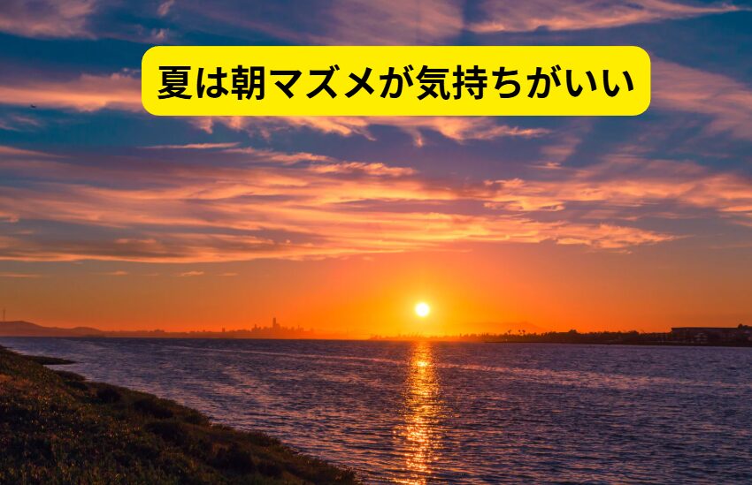 暑さに疲れた心と体に、夜明けの海辺は最高の癒し。 空気は澄み、風は涼しく、魚も釣れて… まさに「一石三鳥」の朝マズメ時間。釣太郎