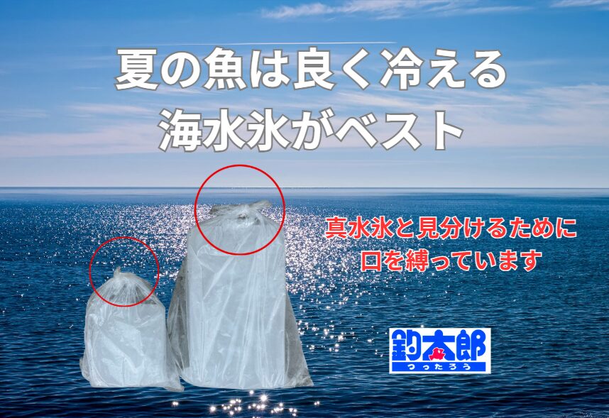 海水氷で、魚のうまさも、香りも、笑顔も守りましょう。「臭くない釣果」は、あなたの“氷選び”で決まります！釣太郎