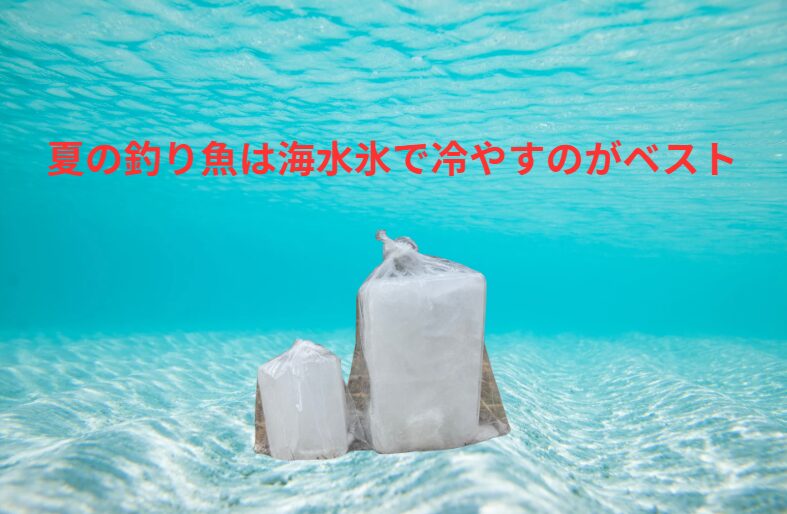 釣り魚は、海水氷を使うだけで釣果が「料理レベル」に変わる!釣太郎