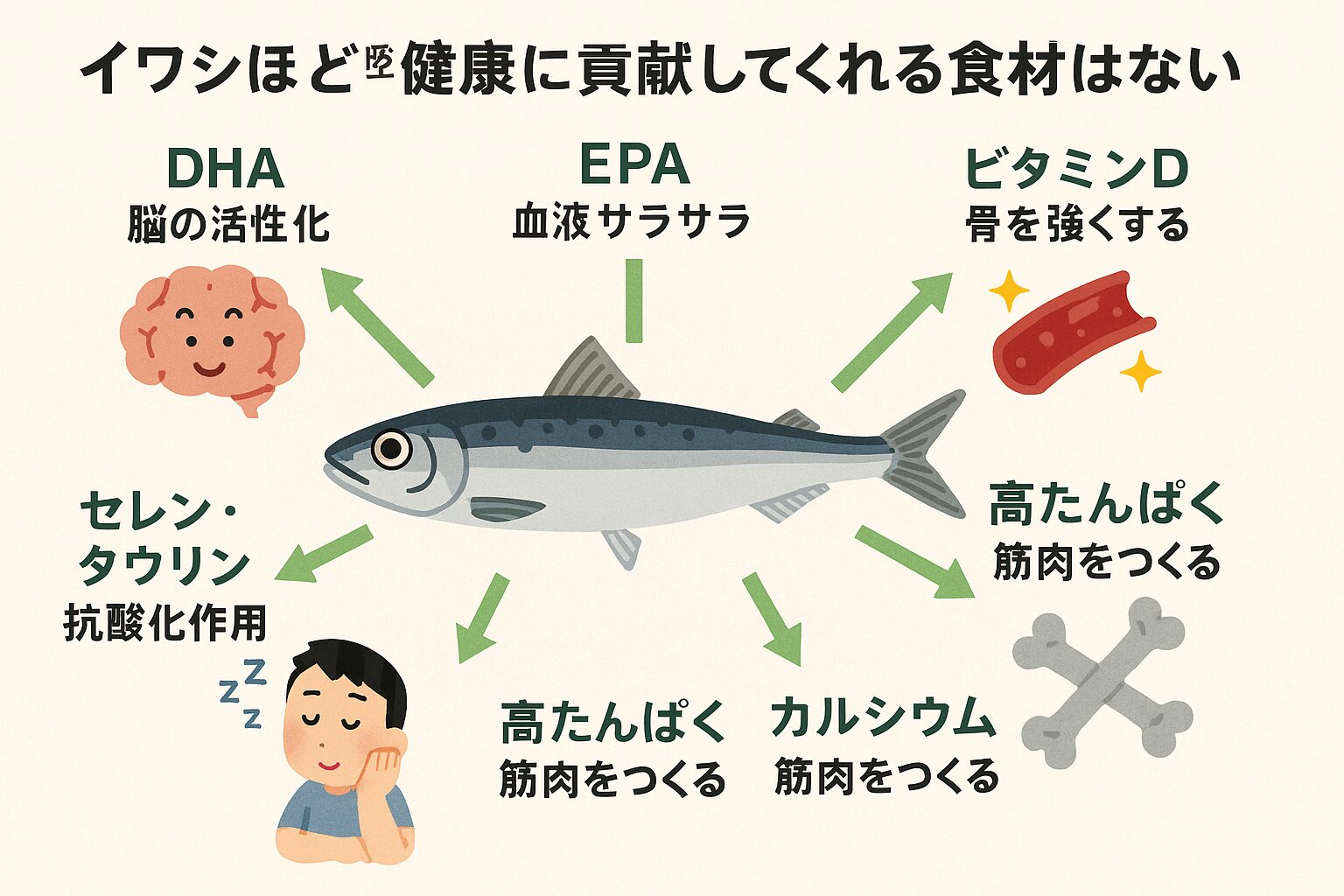 【医者いらず！？】イワシほど健康に貢献する食材はない！AIが徹底解説。釣太郎