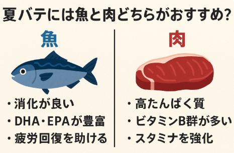 夏バテで体力が落ちたときは、無理にボリュームを取るよりも、消化が良く栄養価の高いものを少しずつ摂取することが重要です。釣太郎