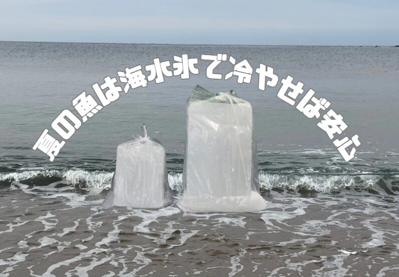 海水氷の冷却力は、真水氷とは比較にならないレベルです。・凍る温度が低く ・溶けても冷たい状態を長時間維持し。・魚の鮮度と味を守り抜く。暑い季節の魚冷却には、もはや海水氷が最適解。釣太郎