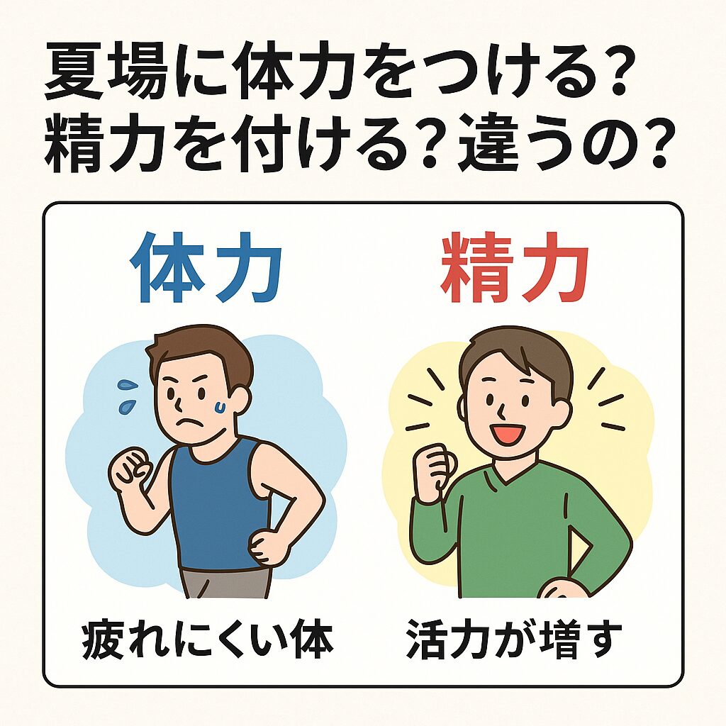 夏場に「体力をつける」と「精力をつける」は違う？意味と目的を正しく理解しよう。釣太郎