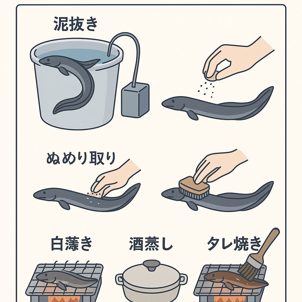 【夏の味覚】天然ウナギの泥臭さを消す！美味しく食べるための下処理と調理のコツ. 釣太郎
