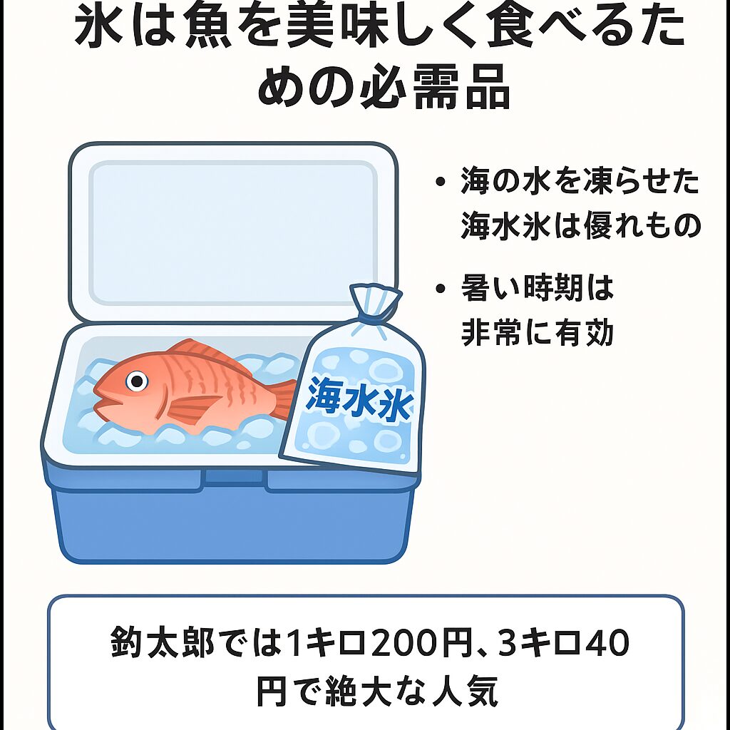 【夏の釣り】氷を甘く見ると命取り！？海水氷が釣り魚の鮮度を守る理由とは【釣太郎の人気商品】