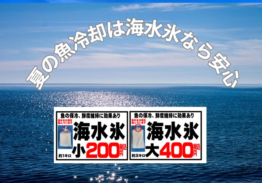 【釣り人必見】同じ“氷”でも差が出る!食中毒リスクを81%減らせる「海水氷」使いませんか?釣太郎