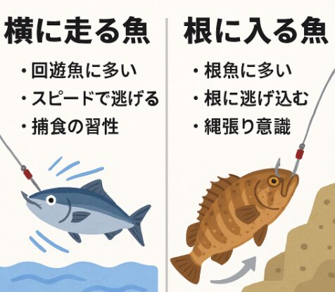 魚はヒットした時、横に走るか、根に潜るか。それは魚の種類だけでなく、生き方そのものの違いでもあります。 横に走る魚＝「逃げ足が速いアウトボクサー」 根に入る魚＝「一撃必殺のインファイター」釣太郎