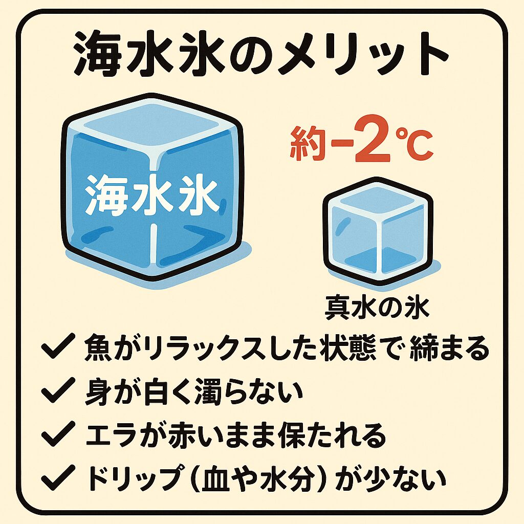 【釣太郎名物】真水じゃない！“海水氷”が夏釣りの必需品である理由をchatGPTが解説。
