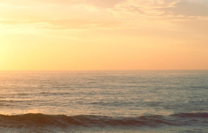 朝日を浴びることは、最も手軽で費用のかからない夏バテ対策です。
・体内リズムを整えることで、食欲・睡眠・集中力が向上。
・ビタミンDで免疫もサポートされ、まさに“万能の自然治療法”。釣太郎